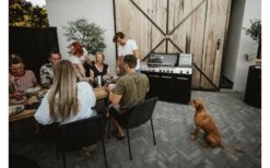 Enders Uniq Pro 3 IKO Kitchen Cruster Gasgrill 24,9 KW / 50 Mbar -Berger Geschaft 1344988 7723312