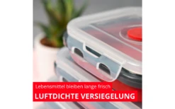 Westmark Faltbare Frischhaltedose Eckig 29 Westmark Faltbare Frischhaltedose Eckig -Berger Geschaft 1541859 8616174